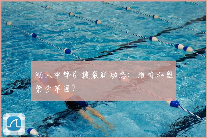 湖人中锋引援最新动态：谁将加盟紫金军团？